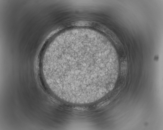 X0000116570727201001211243