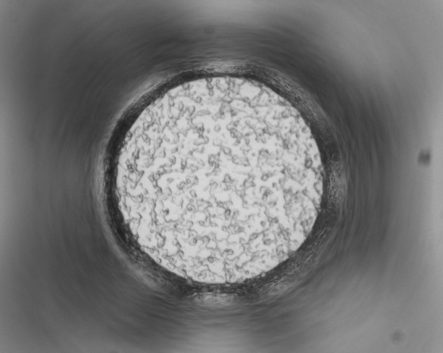 X0000116570730201001211243