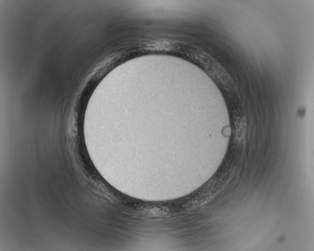 X0000116570731201001211243