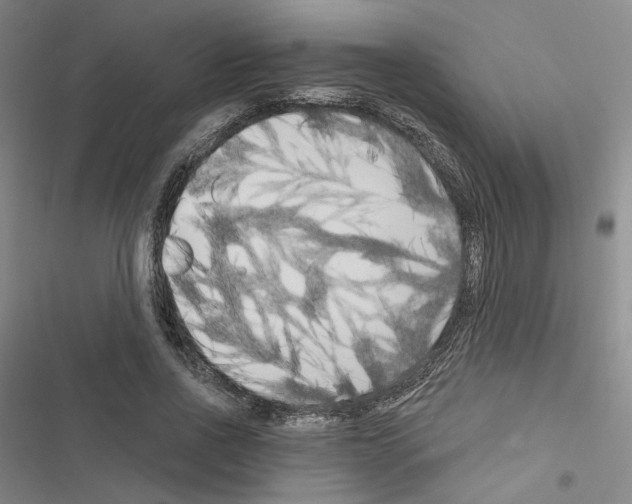 X0000116570734201001211243