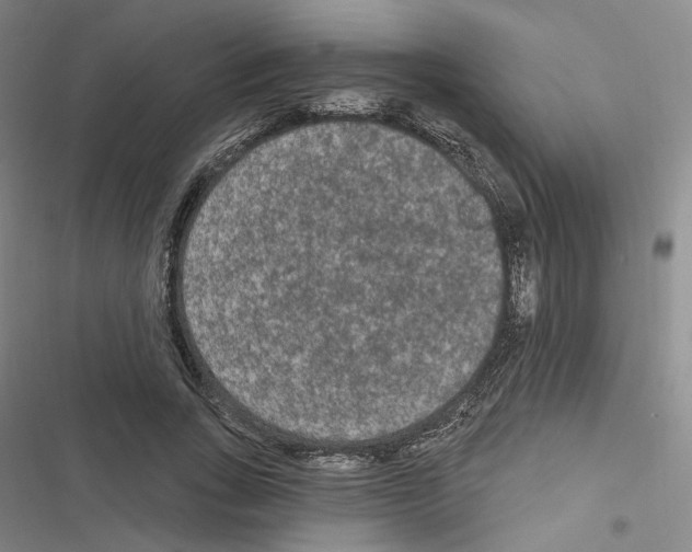 X0000116570735201001211243