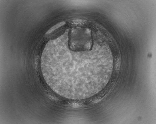 X0000116570737201001211243