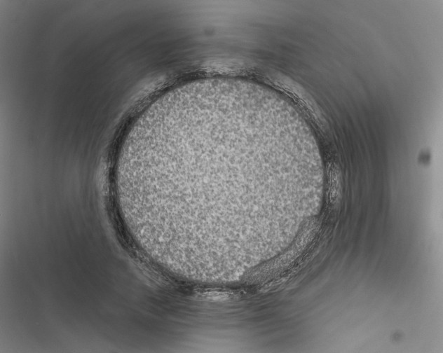 X0000116570738201001211243