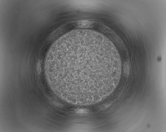 X0000116570741201001211243