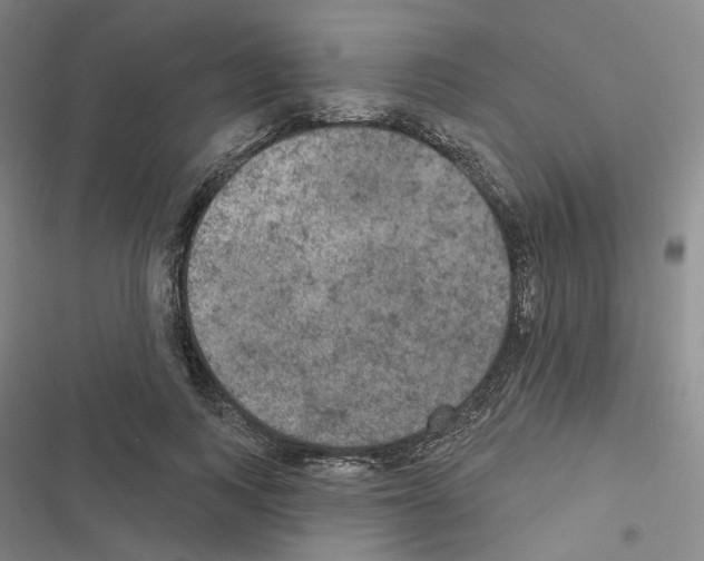 X0000116570743201001211243