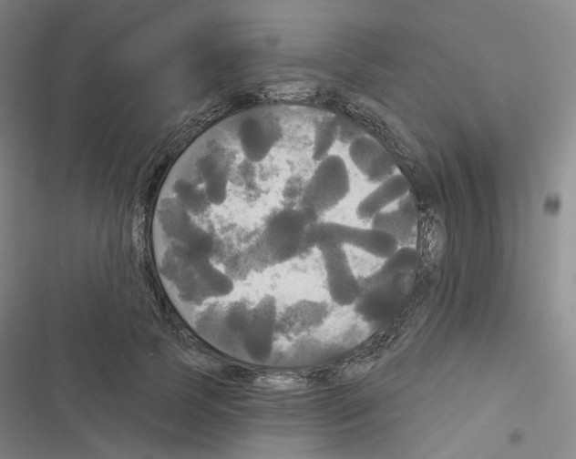 X0000116570745201001211243