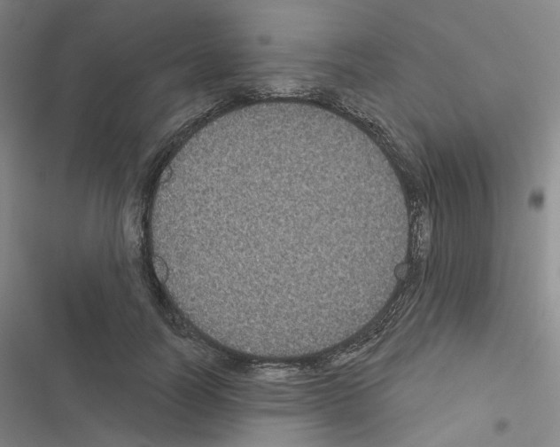 X0000116570746201001211243