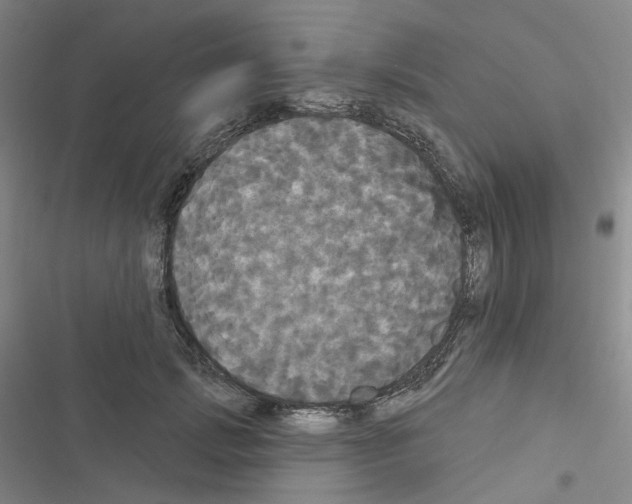 X0000116570749201001211243