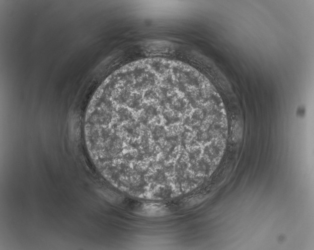 X0000116570753201001211243