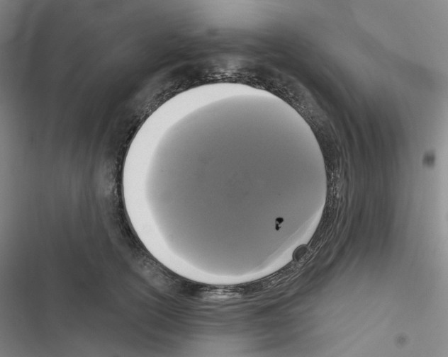 X0000116570754201001211243