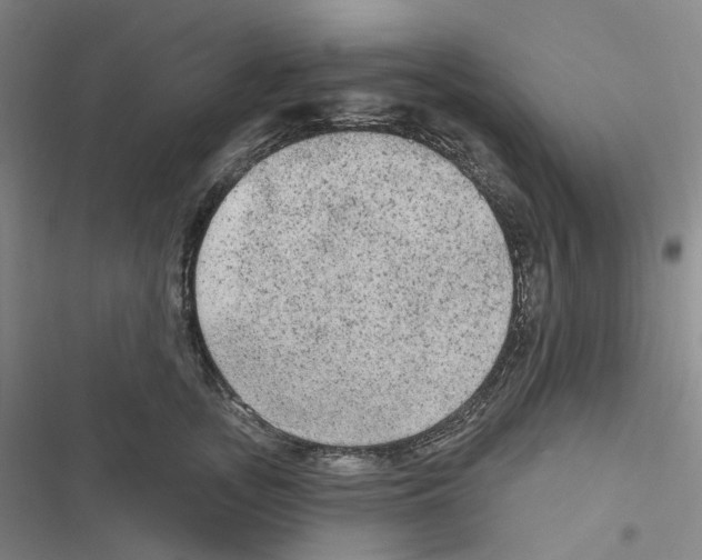 X0000116570755201001211243