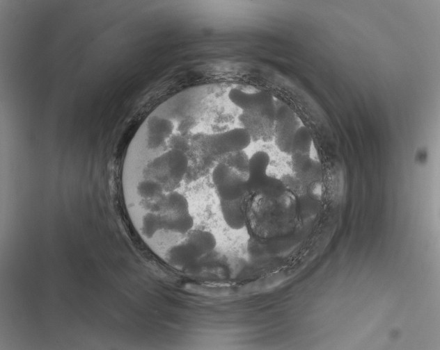 X0000116570757201001211243