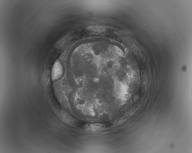 X0000116570758201001211243