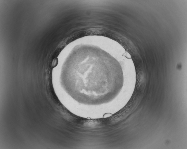 X0000116570759201001211243