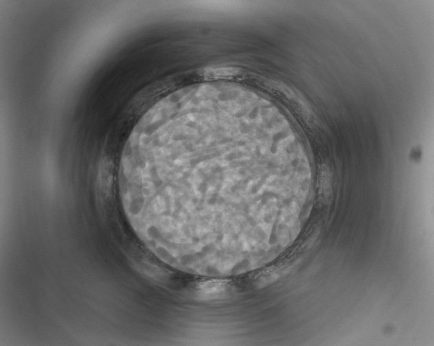 X0000116570761201001211243