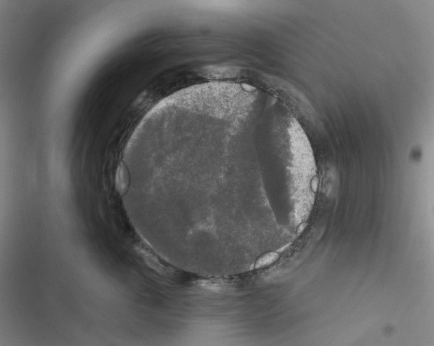 X0000116570763201001211243