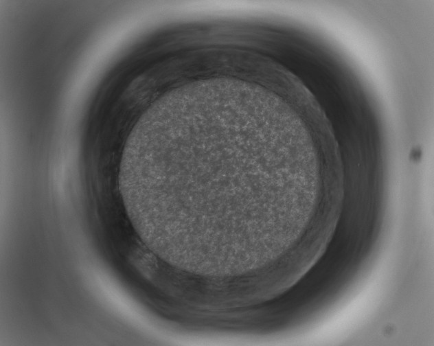 X0000116570766201001211243