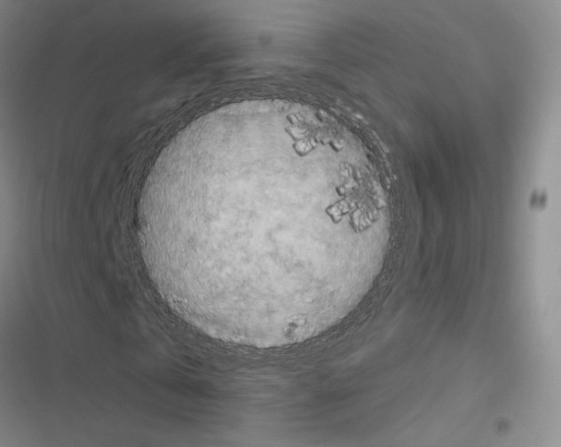 X0000116570769201001211243