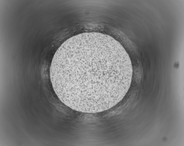 X0000116570770201001211243