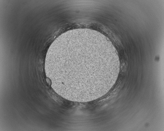 X0000116570772201001211243