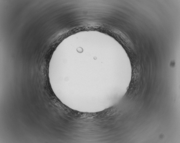 X0000116570773201001211243