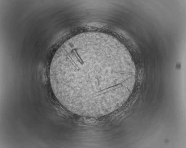 X0000116570774201001211243