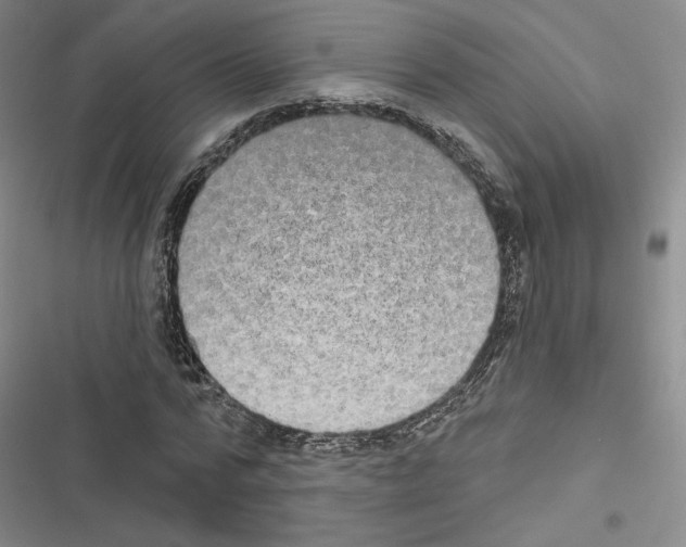 X0000116570776201001211243