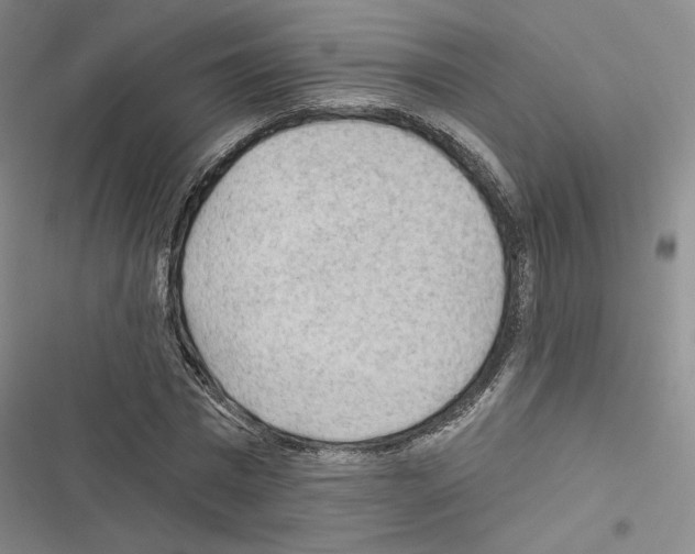 X0000116570777201001211243