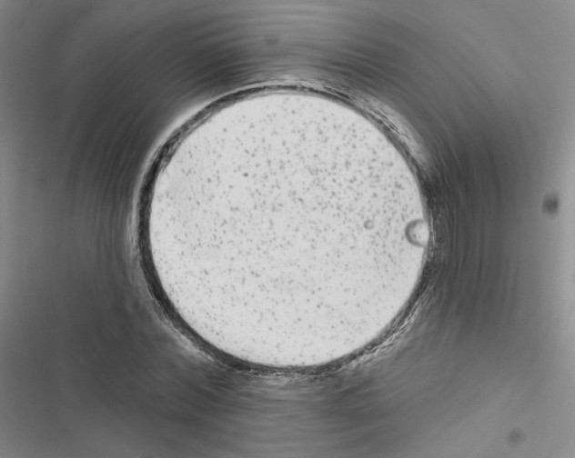 X0000116570780201001211243