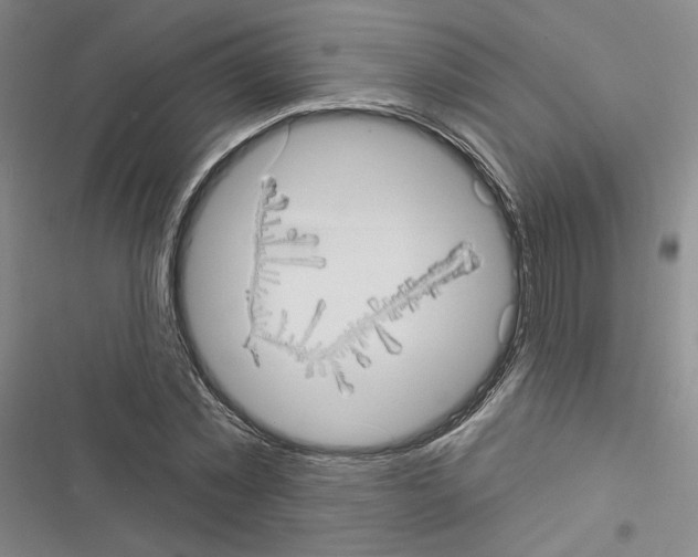 X0000116570781201001211243