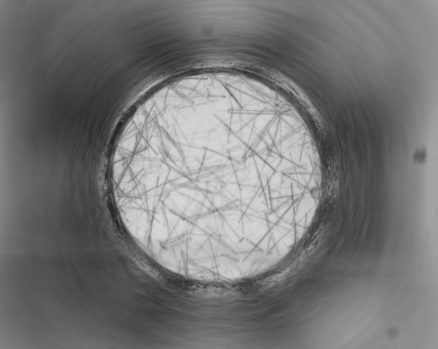 X0000116570786201001211243