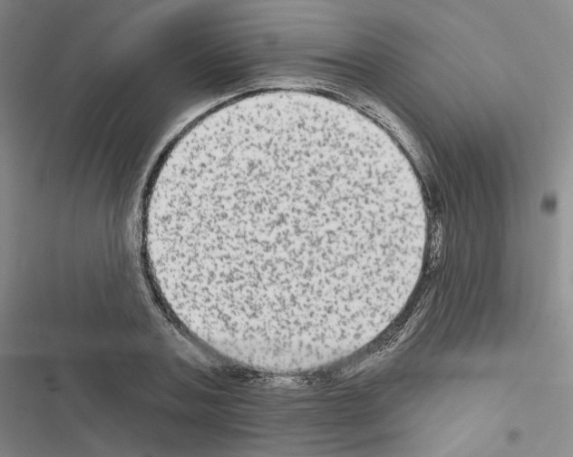 X0000116570787201001211243