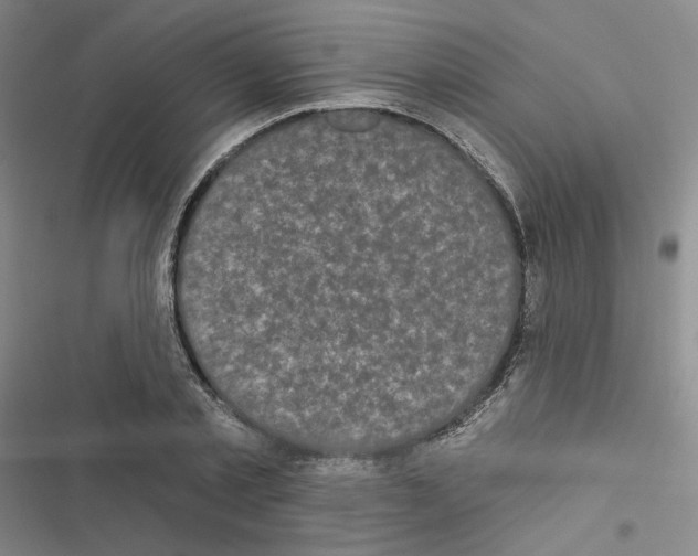 X0000116570789201001211243