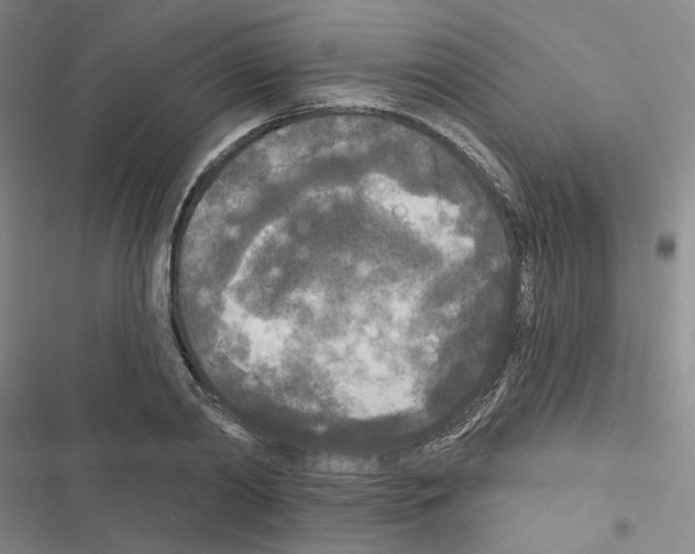 X0000116570790201001211242