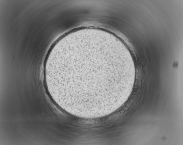 X0000116570791201001211242