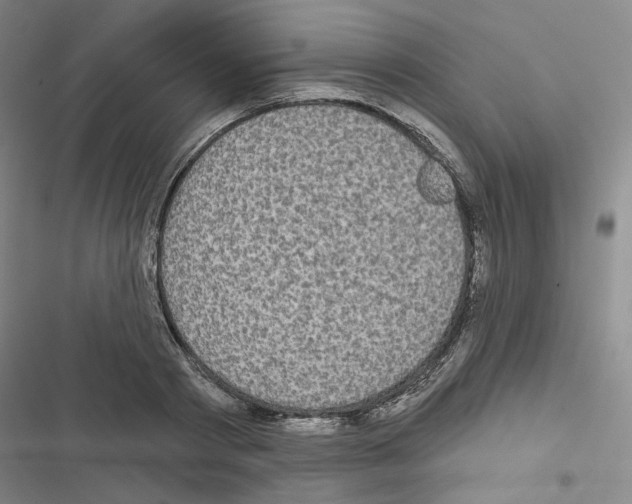 X0000116570793201001211242