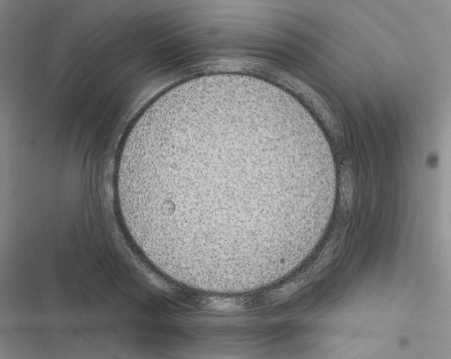 X0000116570794201001211242