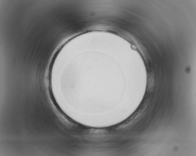 X0000116570795201001211242