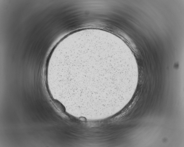 X0000116570796201001211242