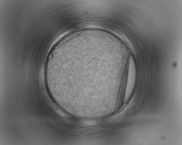 X0000116570798201001211242