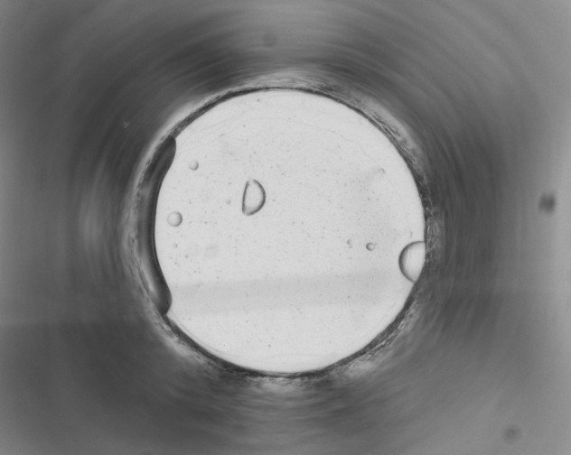 X0000116570800201001211242