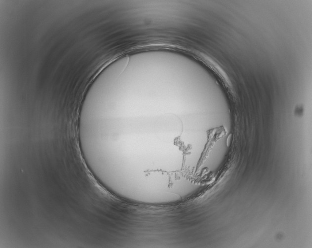 X0000116570801201001211242