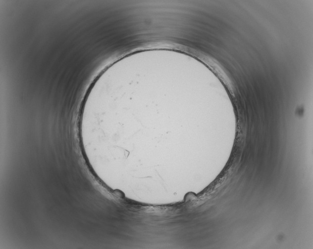 X0000116570805201001211242