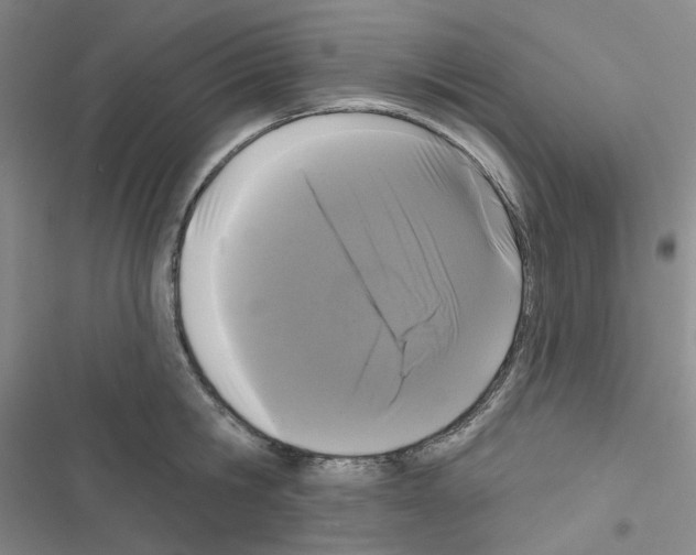 X0000116570806201001211242