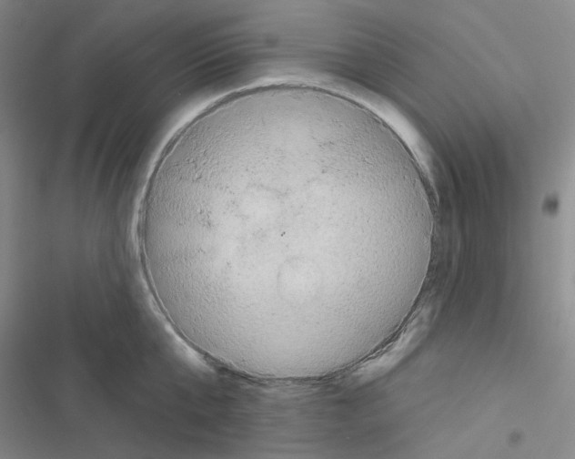 X0000116570807201001211242