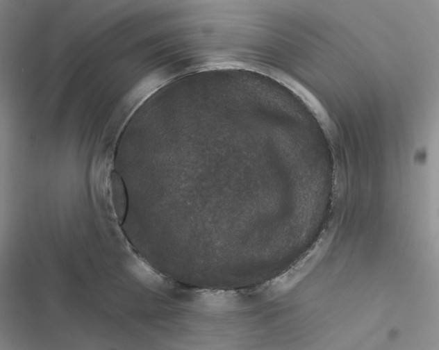 X0000116570809201001211242