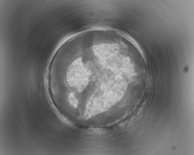 X0000116570811201001211242