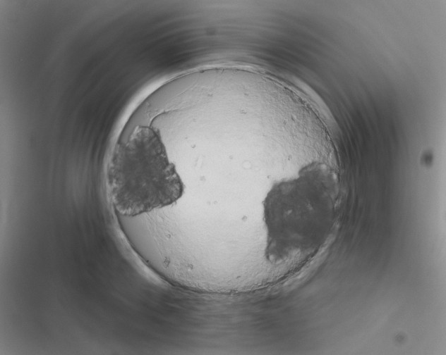 X0000116570812201001211242