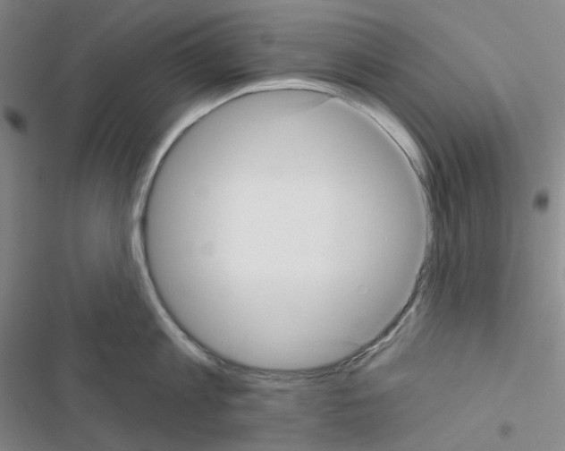 X0000116570813201001211242