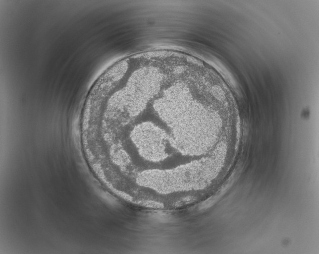 X0000116570814201001211242